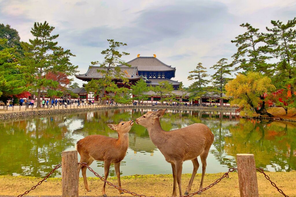 奈良県奈良市で骨董買取